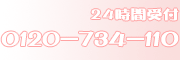 24���Ԏ�t�@0120734110